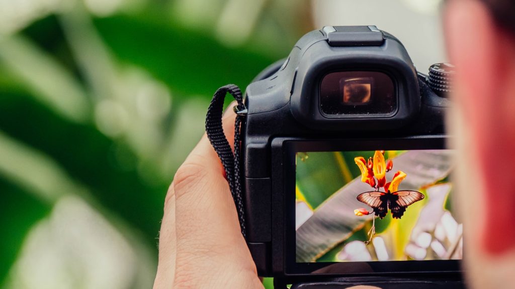 How to Become a Macro Photographer