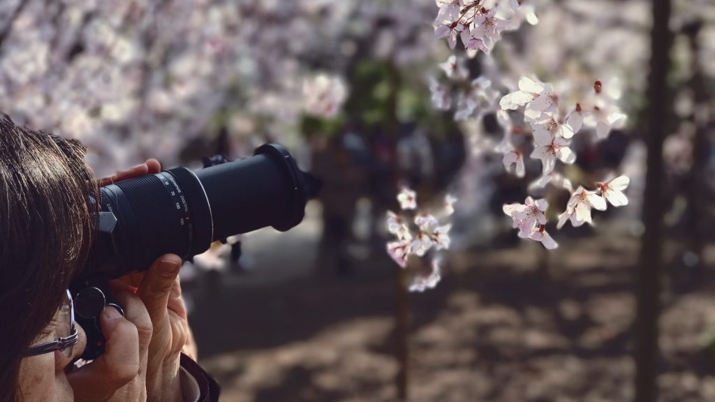 The Complete Guide to Hiring a Macro Photographer