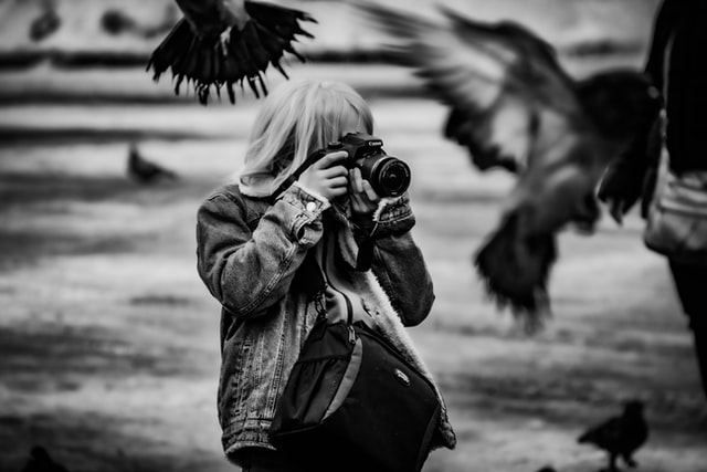 become a bird photographer