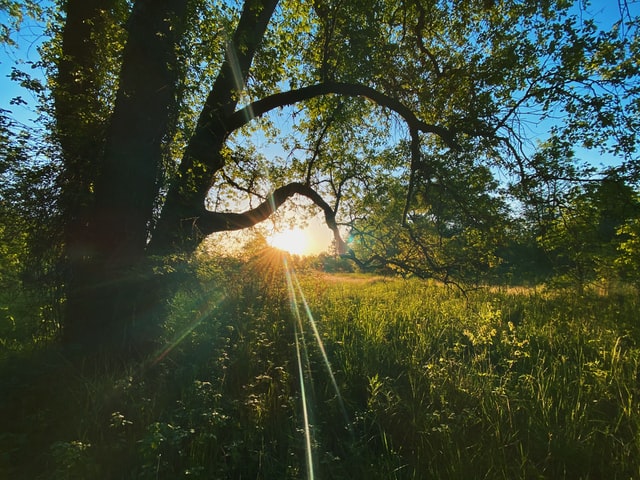 How to Become a Nature Photographer