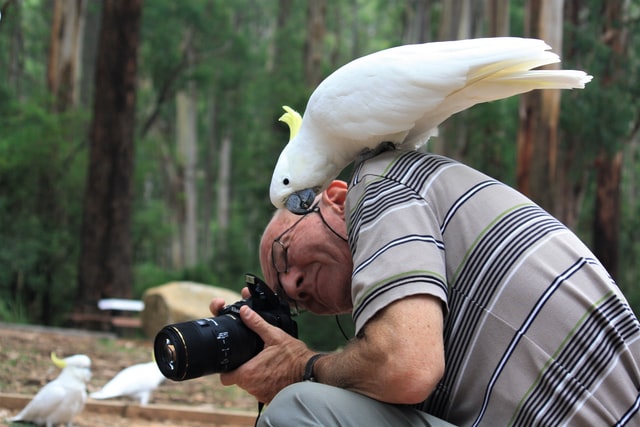 Hiring Wildlife Photographer