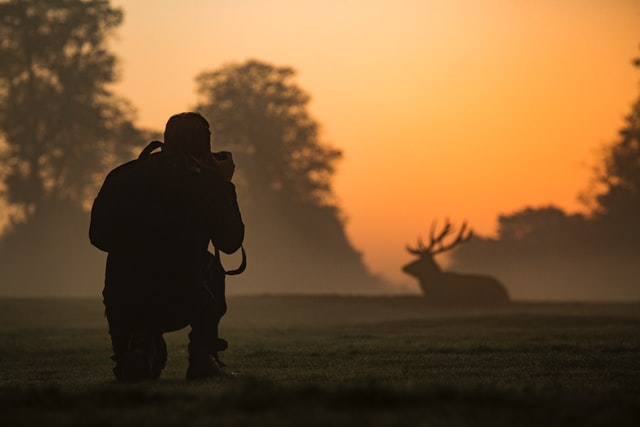 The Complete Guide on How to Become a Wildlife Photographer