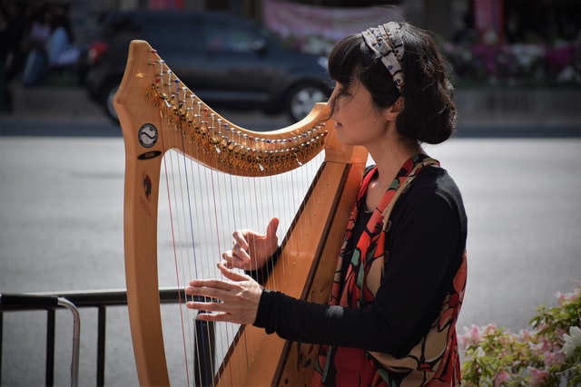 The Best Guide To Become A Harpist Musician